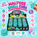Shell Cube (individually Boxed)